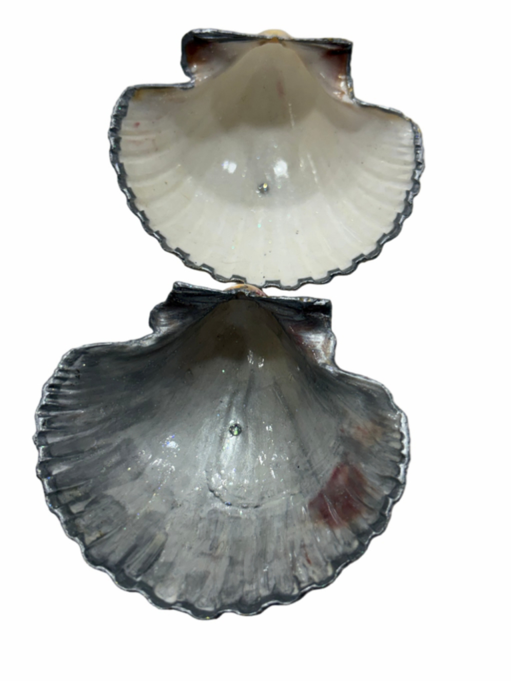Hand Painted Seashell Ring Dishes Set of 2 Silver Trim Shimmer Gem Coastal Decor